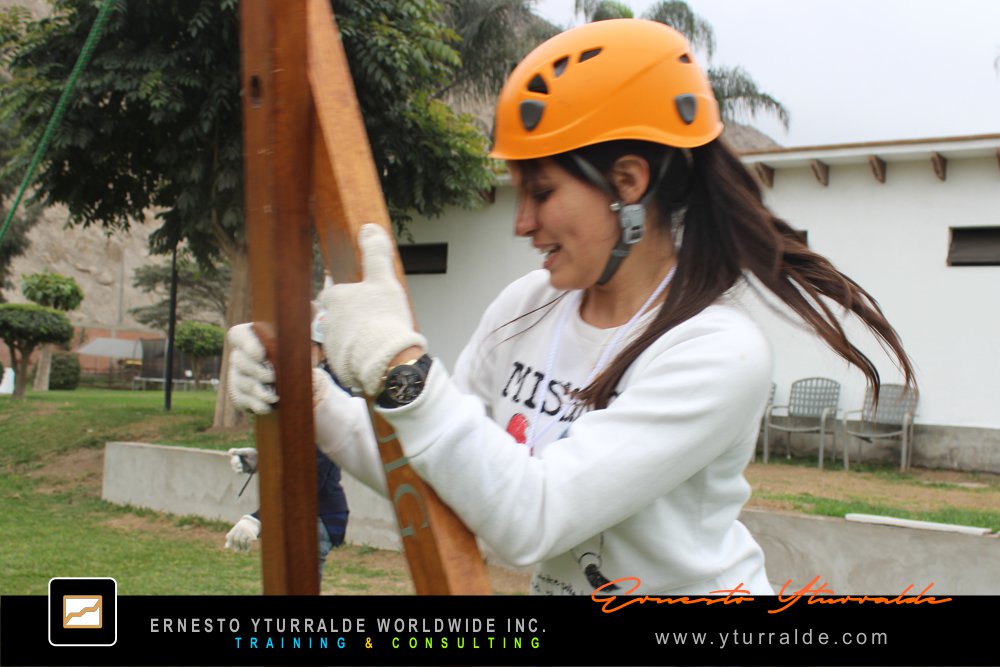 Team Building LATAM, El Caribe y USA Talleres de Cuerdas Bajas | Team Building Empresarial para el desarrollo de equipos de trabajo