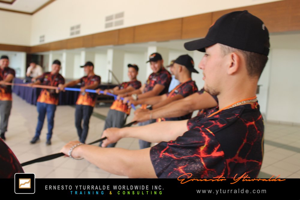 Team Building LATAM, El Caribe y USA Talleres de Cuerdas Bajas | Team Building Empresarial para el desarrollo de equipos de trabajo